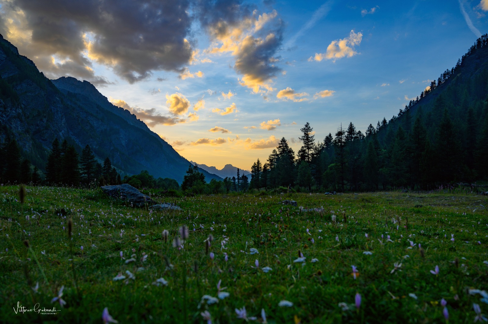 Valle Argentera